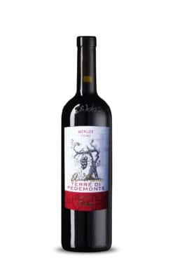 Il Mimo Terre di Pedemonte Ticino DOC 2020 – Vini & Distillati Angelo Delea SA